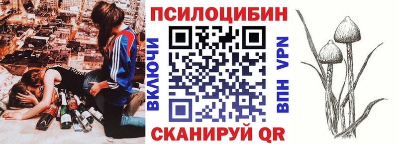 hydra ONION  Кирс  Галлюциногенные грибы мицелий 